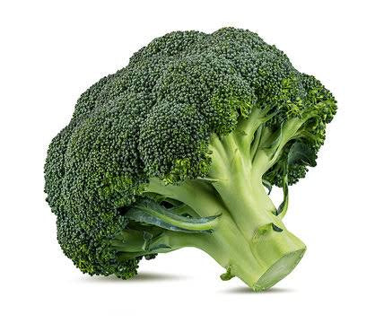 Broccoli