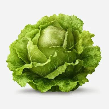 Iceberg Lettuce