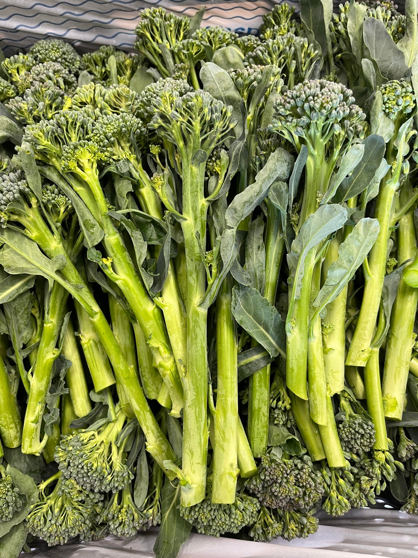 Broccolini