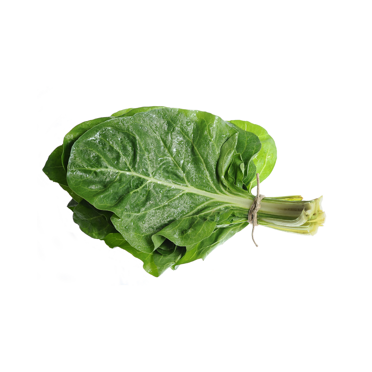 Swiss Chard-rainbow silverbeet