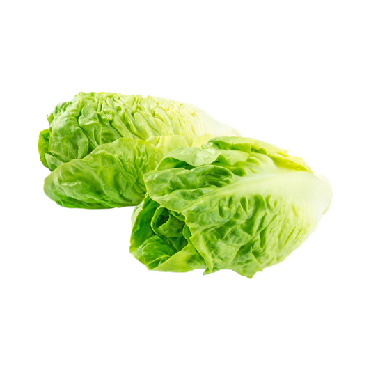 Lettuce Cos