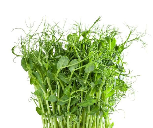 Pea Sprouts