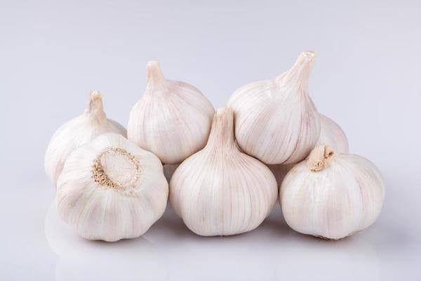 Garlic Bulb