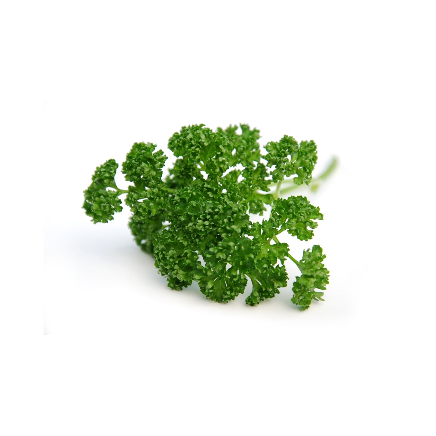 Parsley