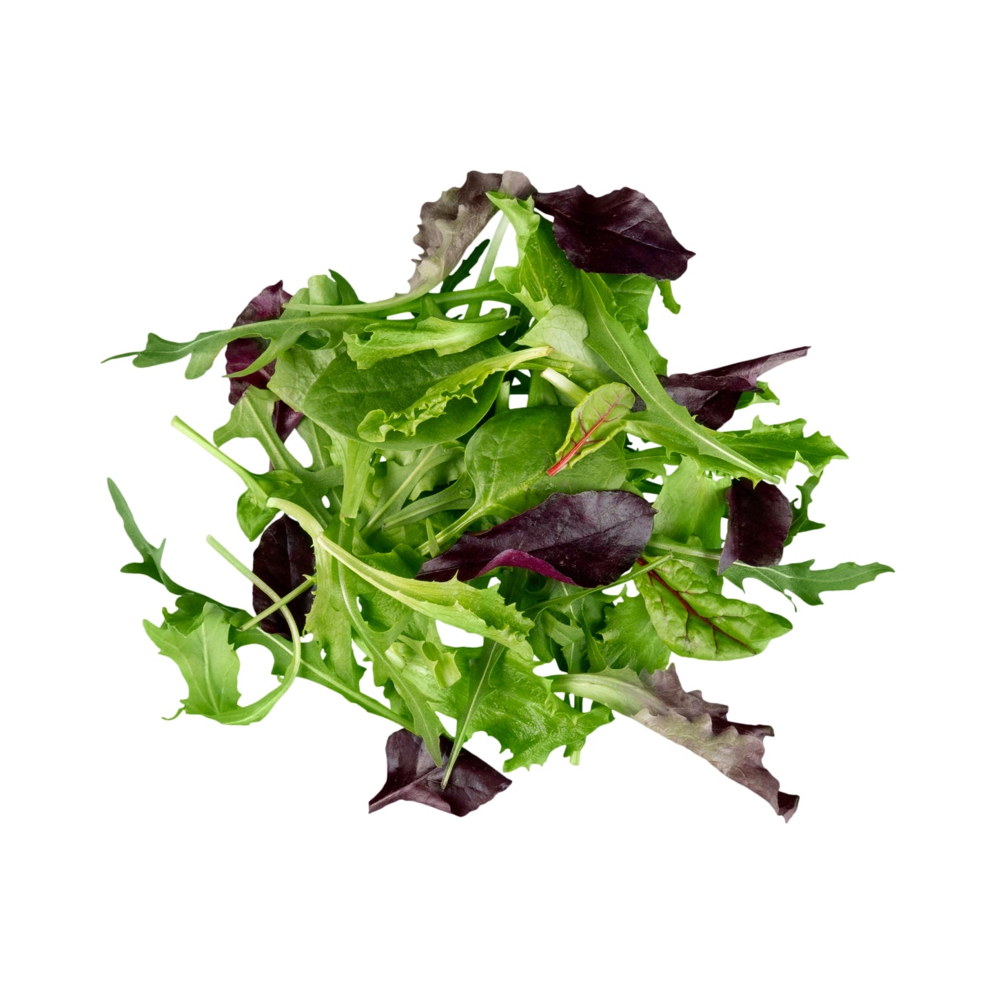 Salad Mix (mesclun)