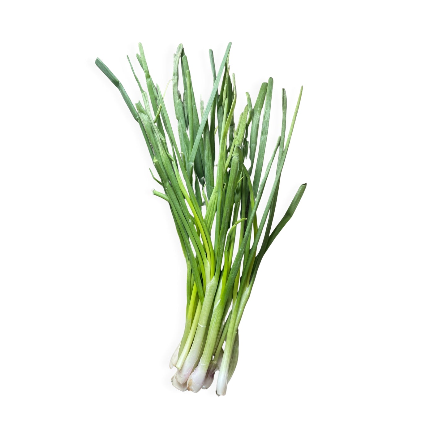 Spring Onions