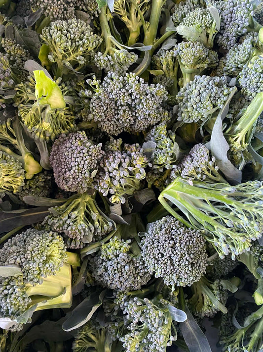 Broccolini Heads