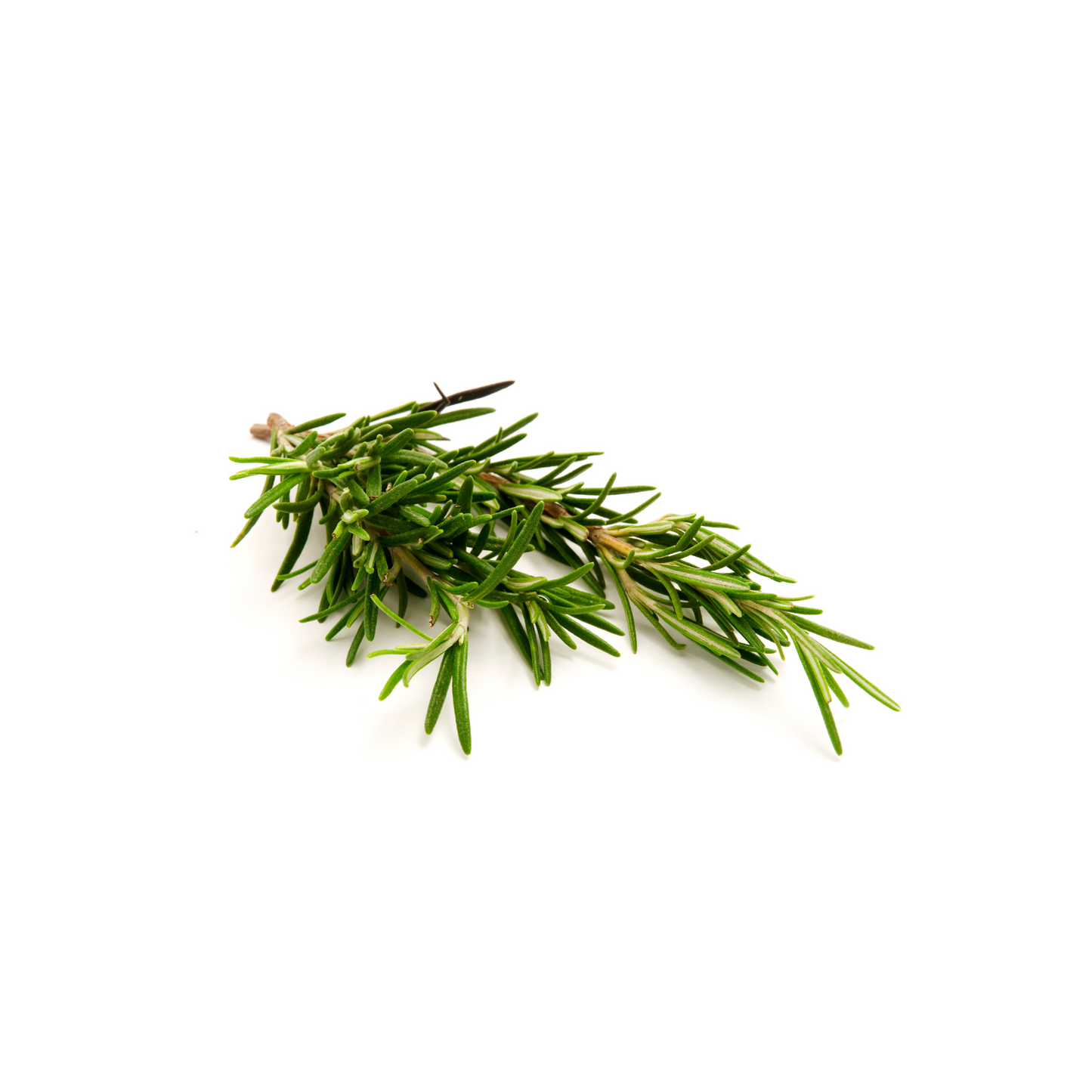 Rosemary Sprigs