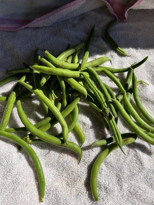 Beans-green
