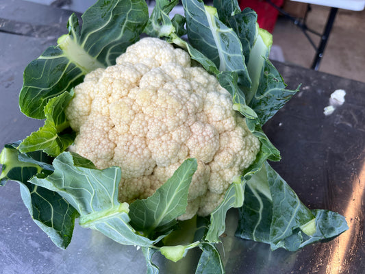 Cauliflower White