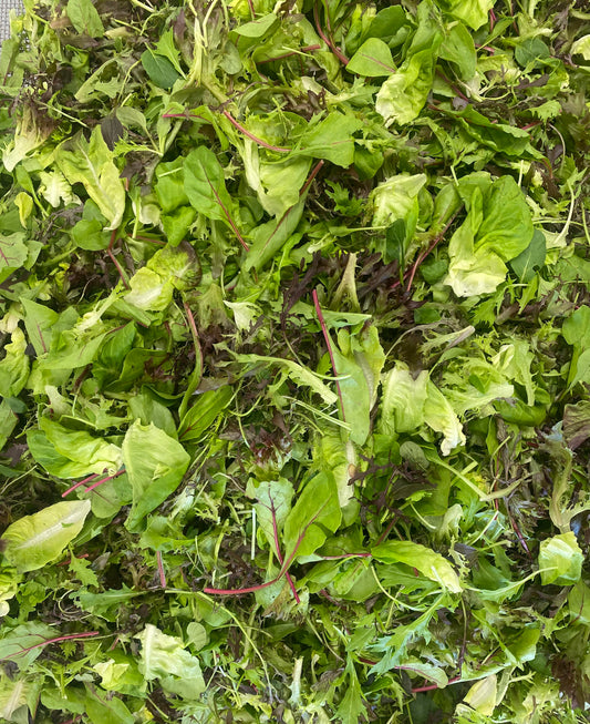 Salad Mix (mesclun)