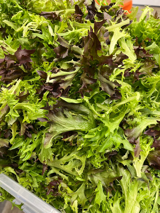Lettuce Mix