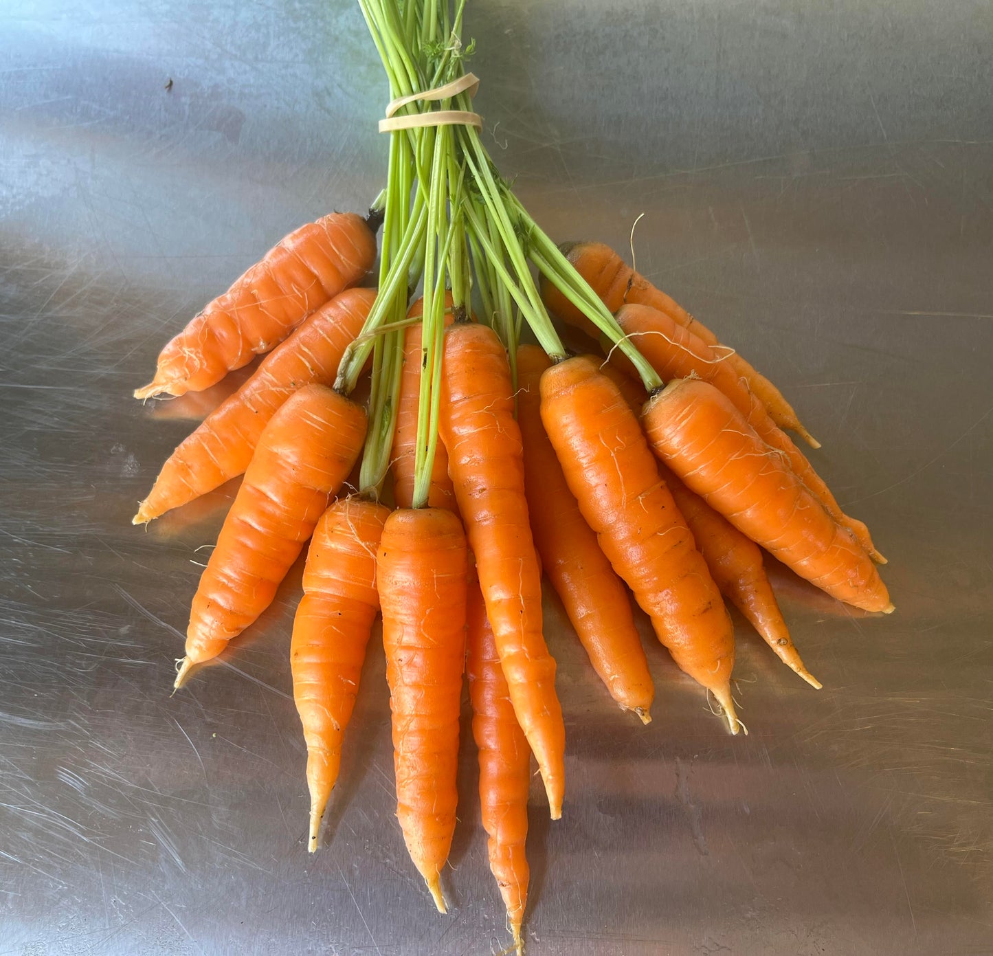 Carrots-baby carrots